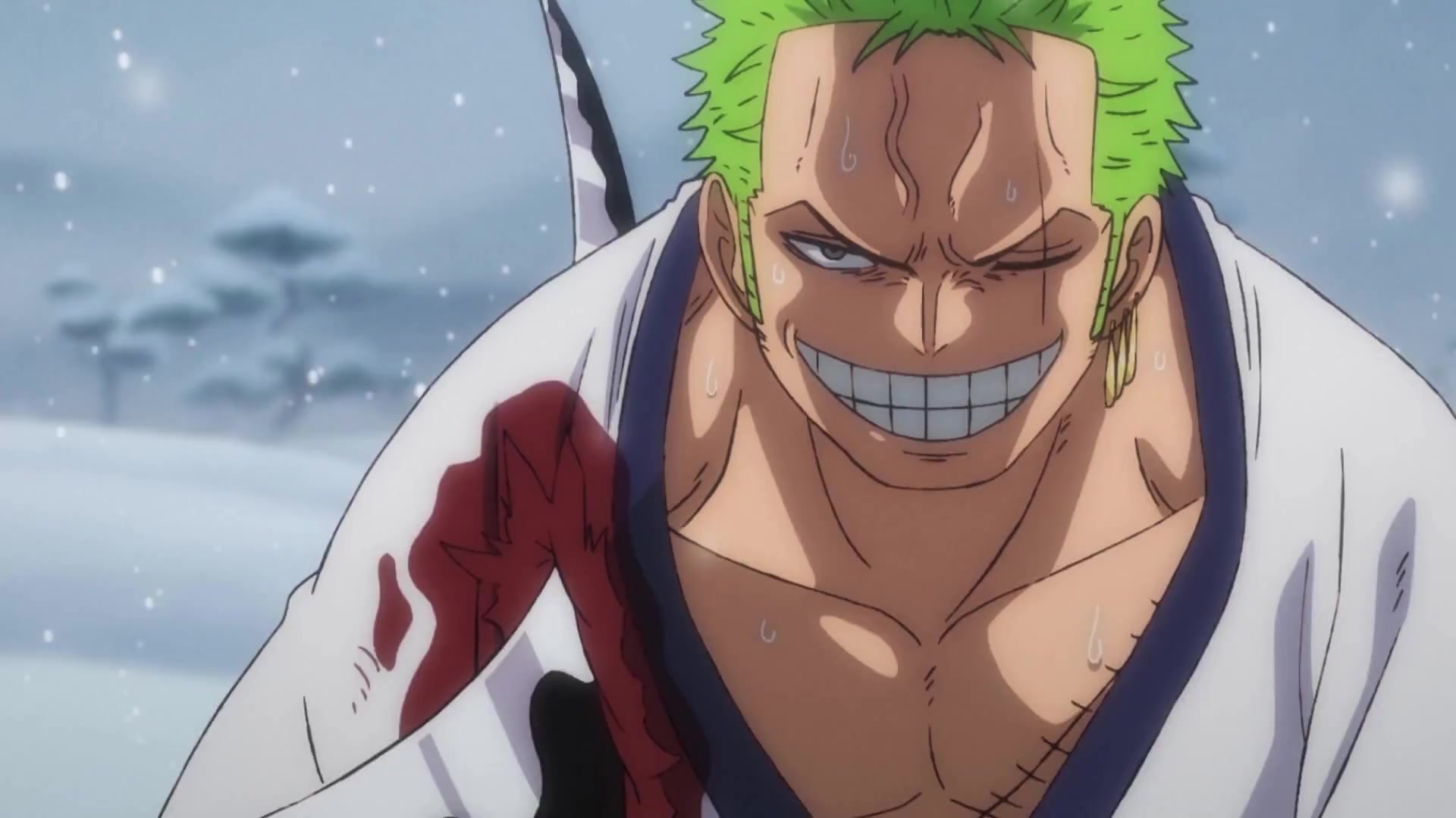 Zoro_15.mp4